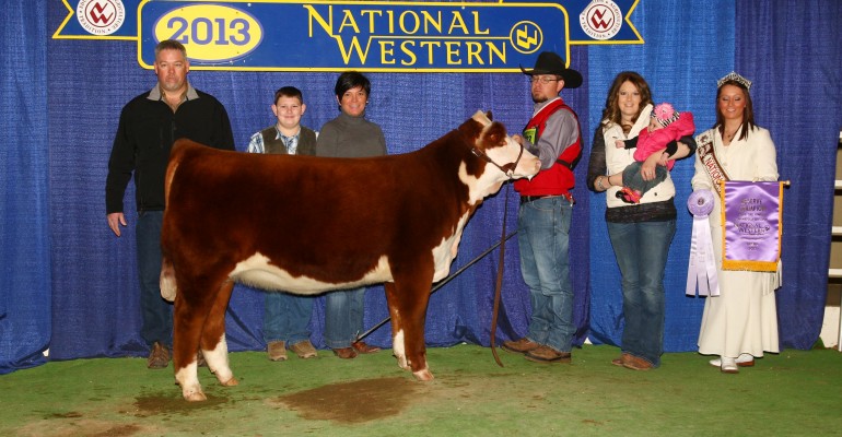 2013 National Western Stock Show – SUPREME CHAMPION HEREFORD | Thomas ...